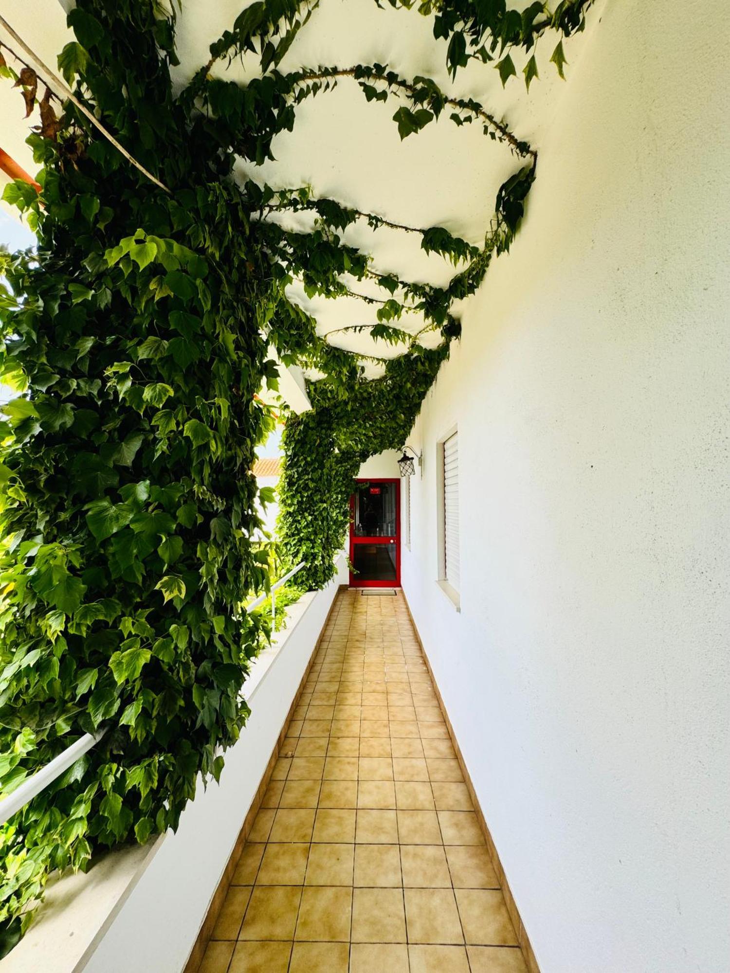 Cristelo  Nature & Beach Guest Rooms, Aldeamento Turistico Do Camarido מראה חיצוני תמונה